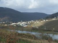 Blick auf die Mosel