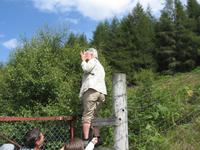 Rothiemurus Forest -Hindernis