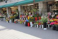 Tallinn - Blumenmarkt