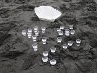 Brennivin-Verkostung