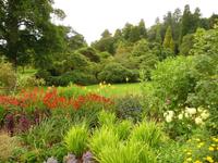 Killerton House & Garden