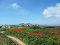Lands End