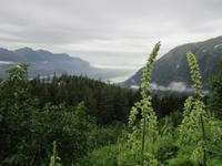 Auf dem Mount Roberts