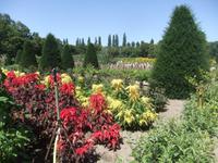 Chenonceau. Blumengarten