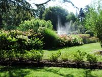 Cheverny. Park