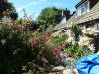 wunderschöner Garten auf Sark