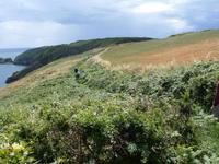 Klippenwanderung auf Sark