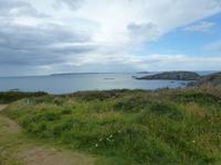 Sark