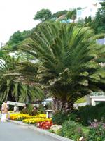 kleine Parkanlage im Hafen - Gorey