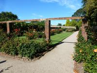 Howard Davis Park - Rosengarten