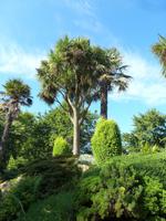Howard Davis Park