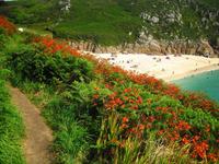 Bucht von Porthcurno
