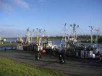 Greetsiel, Krabbenkutter am Hafen