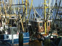 Greetsiel, Krabbenkutter