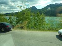 Der 3. Bär spaziert am Ufer entlang