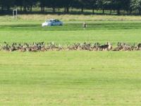 Stadtrundfahrt in Dublin