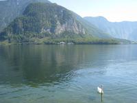 Hallstätter See