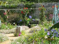 Blütenpracht im Garten von 