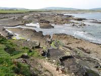 Downpatrick Head