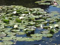 Giverny