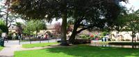 Bourton on the Water