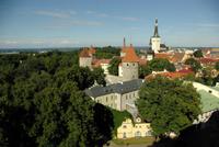 Tallinn (3)