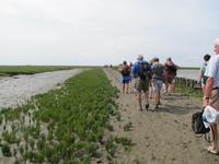 auf der Hallig Nordstrandischmoor