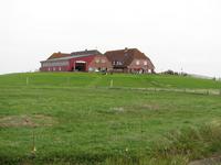 auf der Hallig Nordstrandischmoor