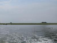 auf der Hallig Nordstrandischmoor