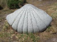 Jakobsmuschel als Stein