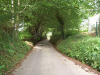 grüne Strassen auf Jersey