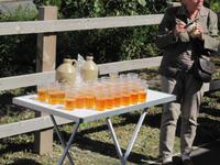 Cider - Picknick