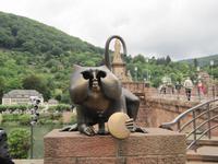 Affe mit Spiegel