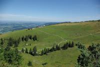 Sonderdach (1)