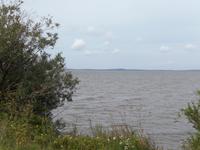 Blick auf die Kurische Nehrung