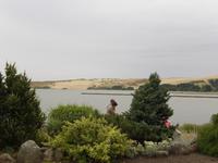 Blick auf der Kurischen Nehrung