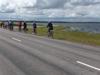 Per Rad auf der Insel Saaremaa unterwegs