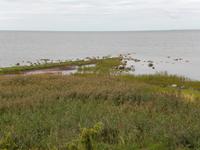 Blick von der Insel Saaremaa