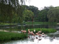 Schlosspark Arcen