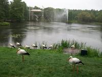 Schlosspark Arcen
