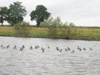 Schifffahrt auf der Maas