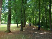 Wasserburg Anholt, Park