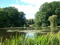 Wasserburg Anholt, Park
