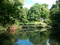 Wasserburg Anholt, Park