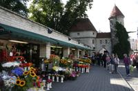 Tallinn - Impressionen