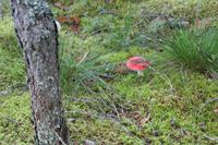 Lahemaa Nationalpark