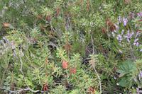 Lahemaa Nationalpark