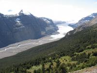 Rocky Mountains - Icefield Parkway - Saskatchewan Gletscher