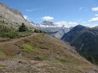 Rocky Mountains - Icefield Parkway 