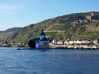 Die Pfalz und Burg 